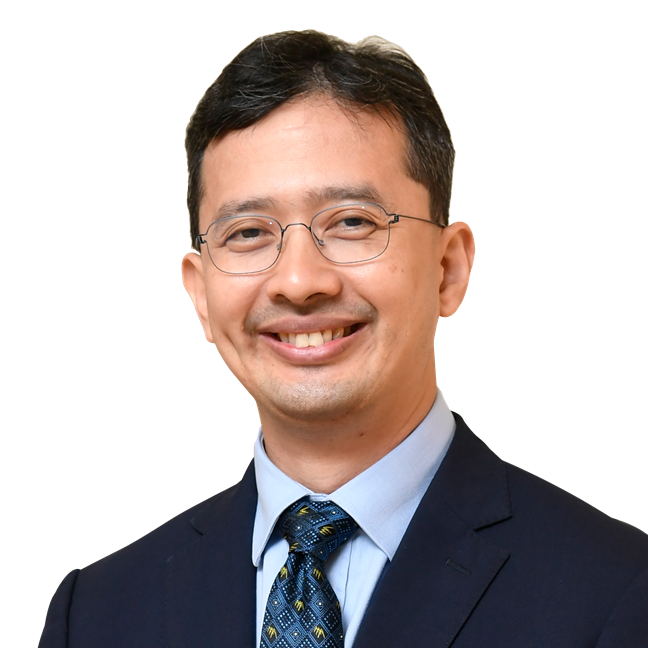 Datuk Johan Mahmood Merican